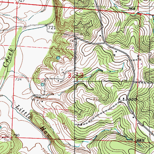 Topographic Map of Township of Richland, MO