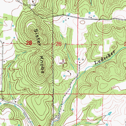 Topographic Map of Township of Barren Fork, MO