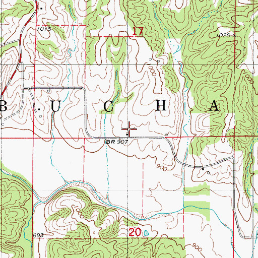 Topographic Map of Township of Buchanan, MO