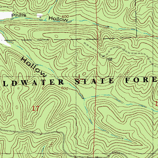 Topographic Map of Township of Cedar Creek, MO