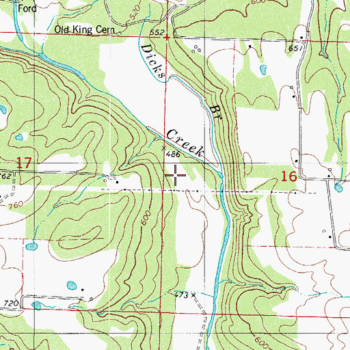 Topographic Map of Dicks Branch, AR