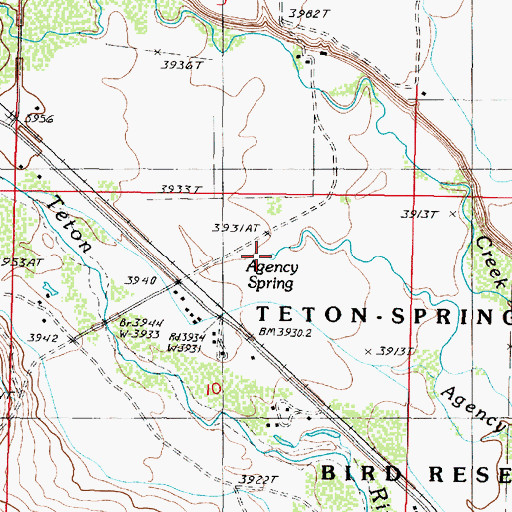 Topographic Map of Agency Spring, MT
