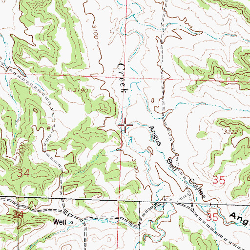 Topographic Map of Angus Bell Coulee, MT
