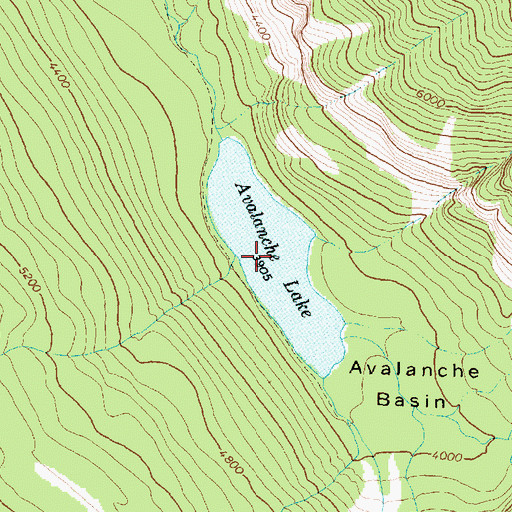 Topographic Map of Avalanche Lake, MT