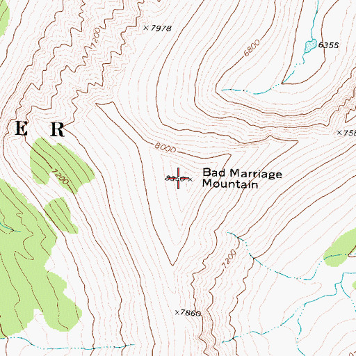 Topographic Map of Bad Marriage Mountain, MT