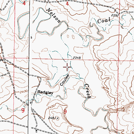 Topographic Map of Badgley Coulee, MT
