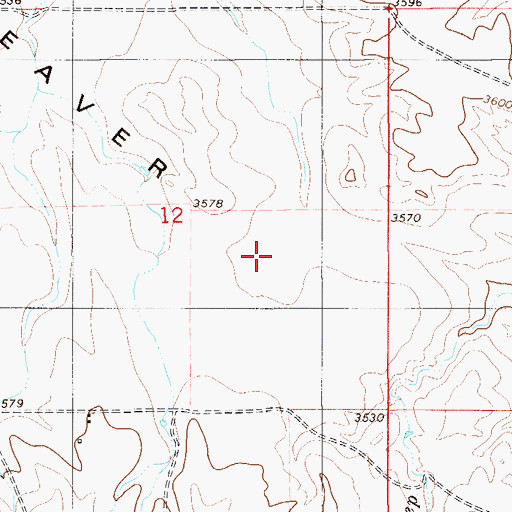 Topographic Map of Beaver Flats, MT