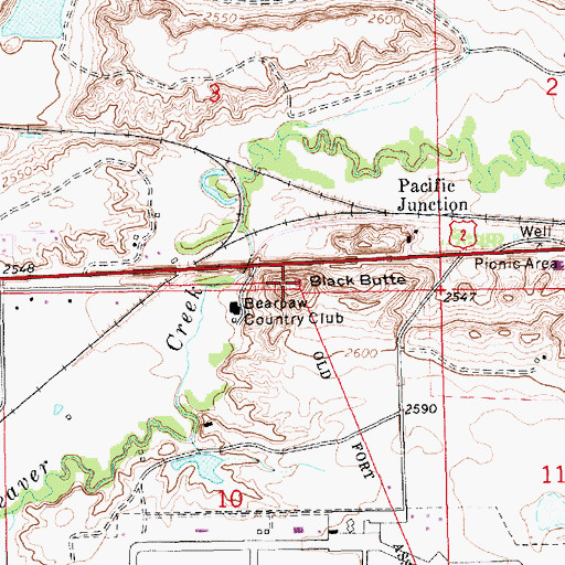 Topographic Map of Black Butte, MT