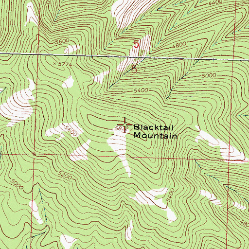 Topographic Map of Blacktail Mountain, MT