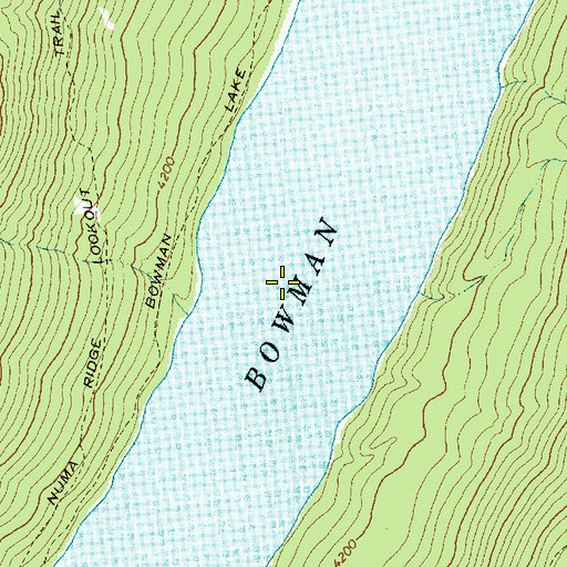 Topographic Map of Bowman Lake, MT