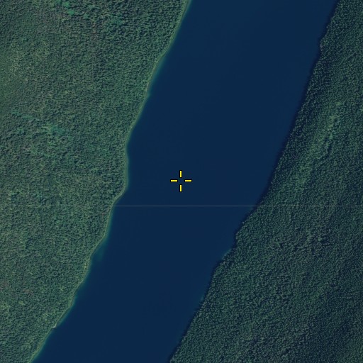 Aerial/Satellite Image of Bowman Lake, MT