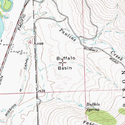 Topographic Map of Buffalo Basin, MT