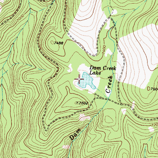 Topographic Map of Dam Creek Lake, MT