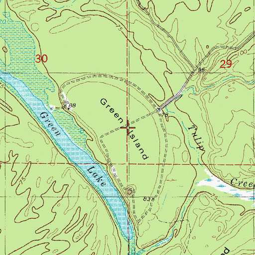 Topographic Map of Green Island, AR