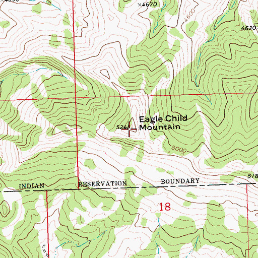 Topographic Map of Eagle Child Mountain, MT