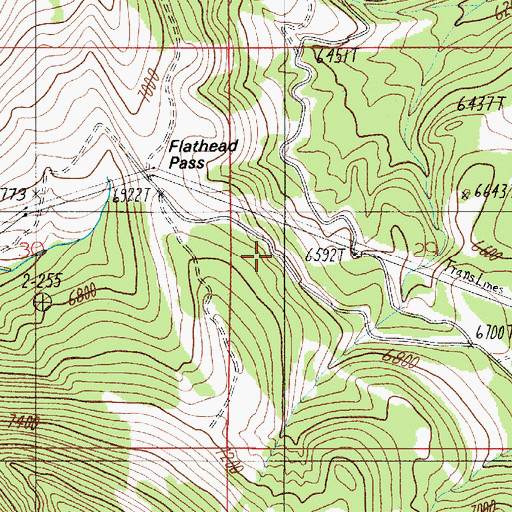 Topographic Map of Flathead Pass, MT