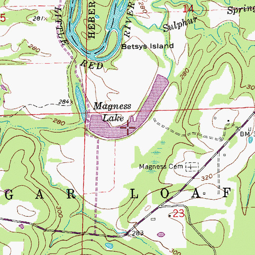 Topographic Map of Magness Lake, AR