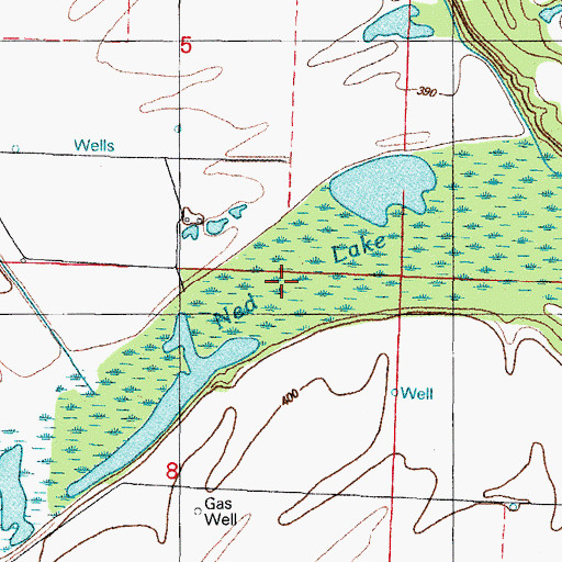 Topographic Map of Ned Lake, AR