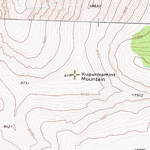 Topographic Map of Kupunkamint Mountain, MT