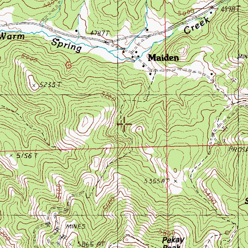 Topographic Map of Maginnis Mine, MT