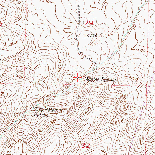 Topographic Map of Magpie Spring, MT