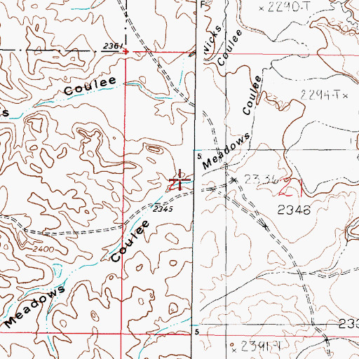 Topographic Map of Meadows Coulee, MT