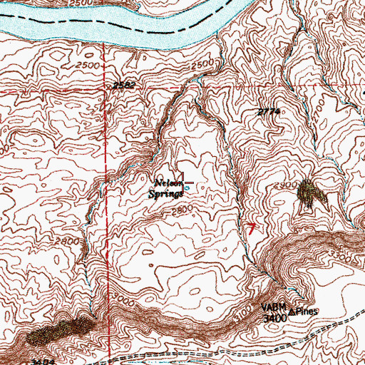 Topographic Map of Nelson Springs, MT