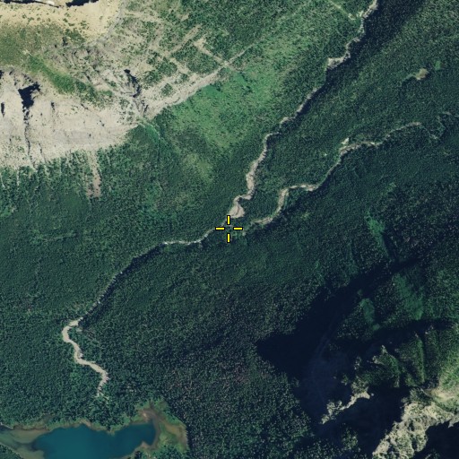 Aerial/Satellite Image of North Fork Kintla Creek, MT