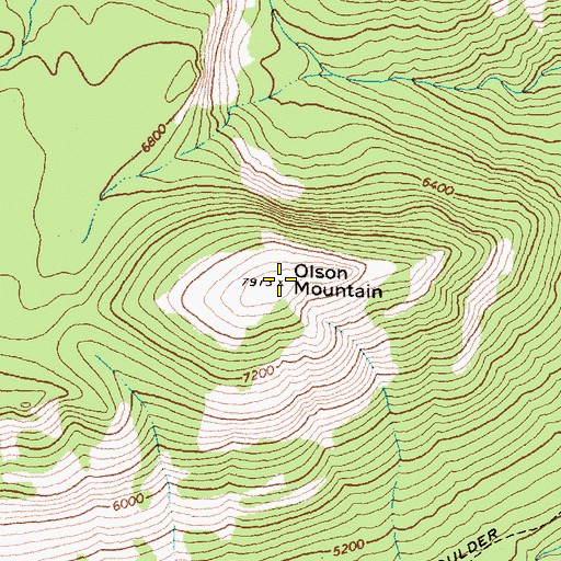 Topographic Map of Olson Mountain, MT