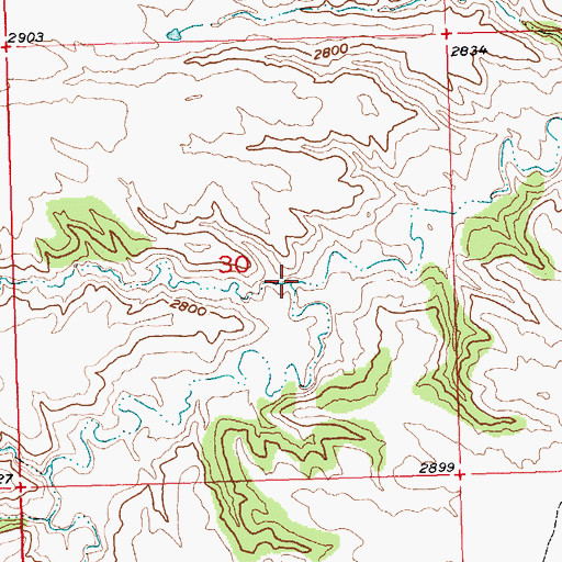 Topographic Map of Roach Gulch, MT