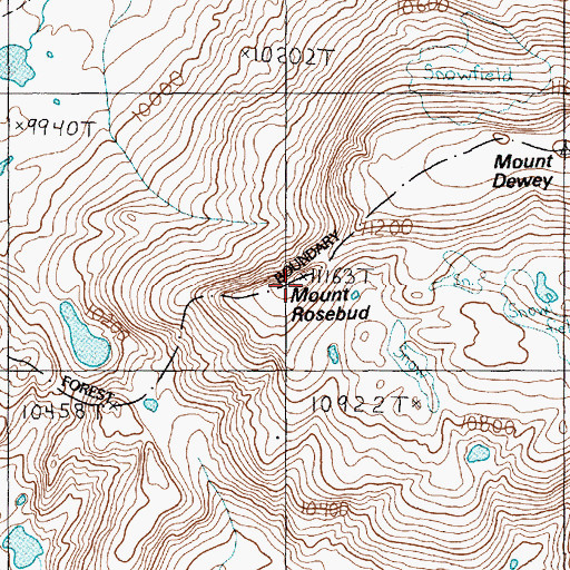 Topographic Map of Mount Rosebud, MT