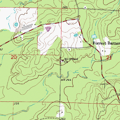 Topographic Map of Mount Gillard Baptist Church, AR