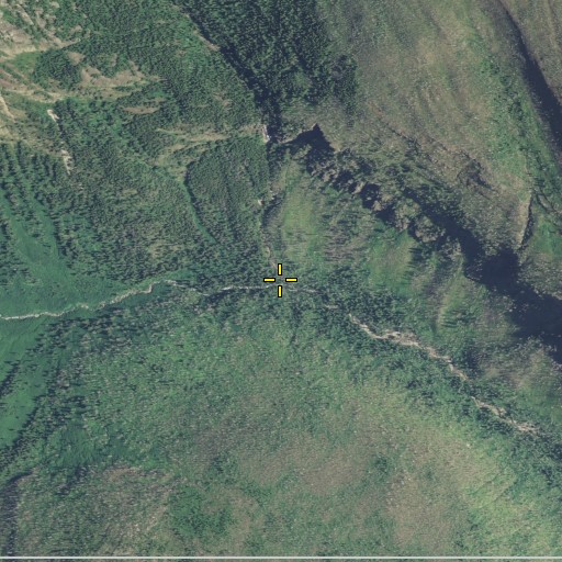 Aerial/Satellite Image of Trapper Creek, MT