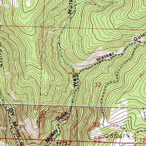 Topographic Map of Walker Gulch, MT