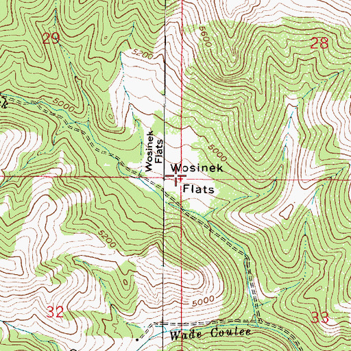 Topographic Map of Wosinek Flats, MT