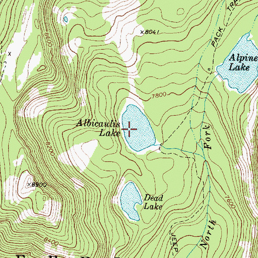 Topographic Map of Albicaulis Lake, MT