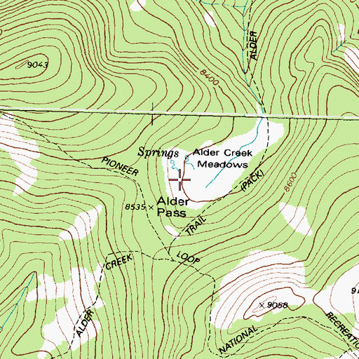 Topographic Map of Alder Creek Meadows, MT