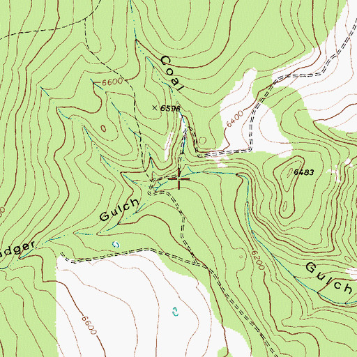 Topographic Map of Badger Gulch, MT