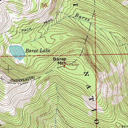 Topographic Map of Baree Mountain, MT