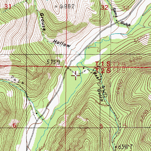 Topographic Map of Bear Gulch, MT