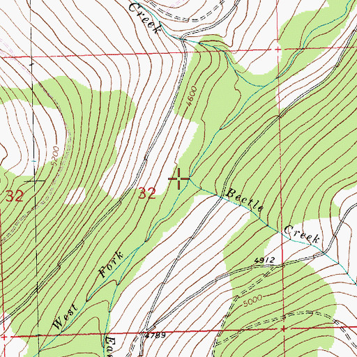 Topographic Map of Beetle Creek, MT