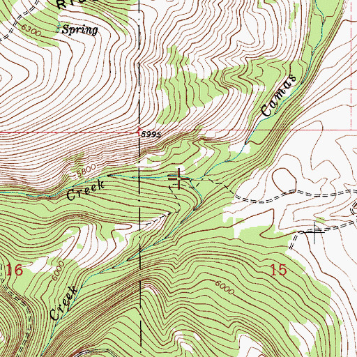 Topographic Map of Big Camas Creek, MT