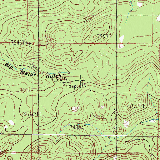 Topographic Map of Big Major Mine, MT