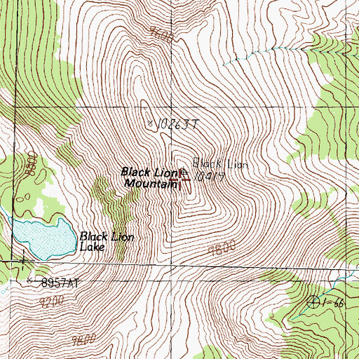 Topographic Map of Black Lion Mountain, MT