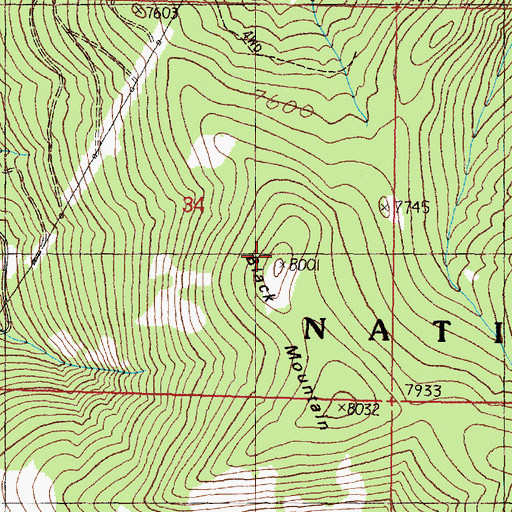 Topographic Map of Black Mountain, MT