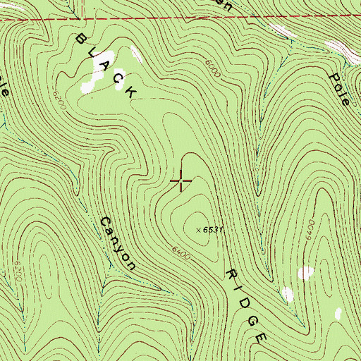 Topographic Map of Black Ridge, MT