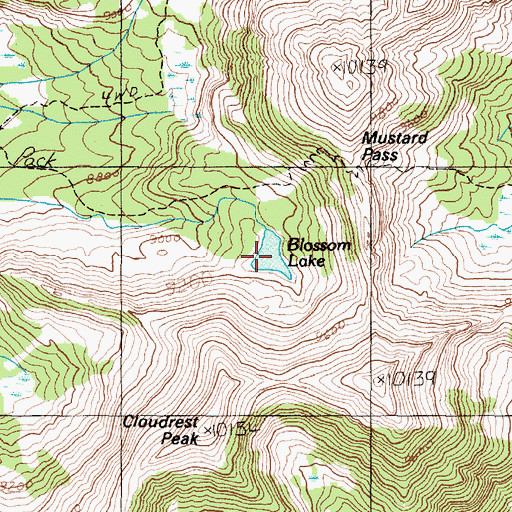 Topographic Map of Blossom Lake, MT