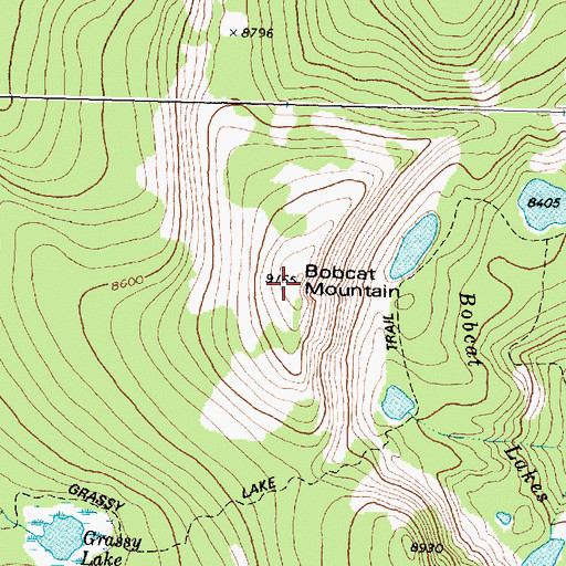 Topographic Map of Bobcat Mountain, MT