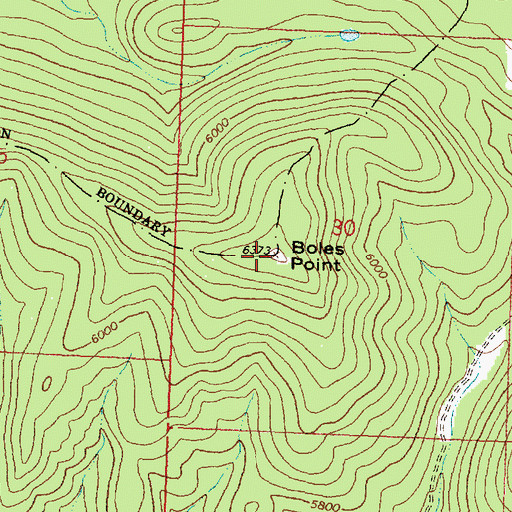 Topographic Map of Boles Point, MT