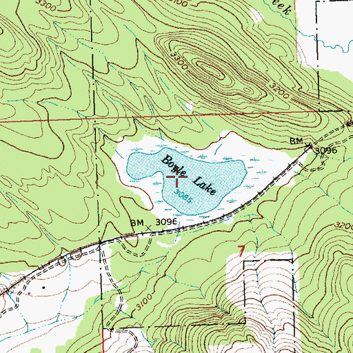 Topographic Map of Boyle Lake, MT